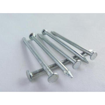 Professional Manufacturer Provide Common Nails